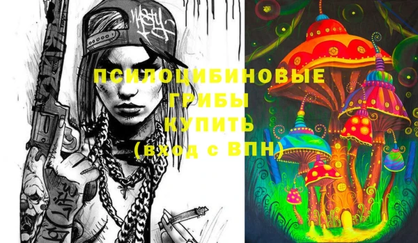 метадон Белокуриха