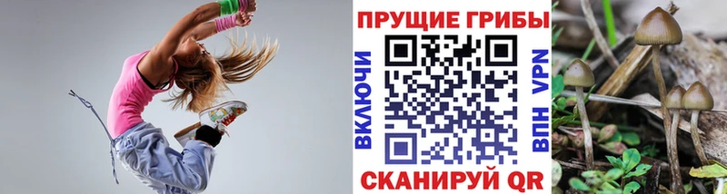 Галлюциногенные грибы Psilocybe  Александровское 